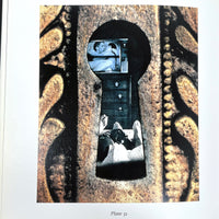 David Springle, Male Bonding, Part Two, Anthology IV, FotoFactory Press, 1998, Near Fine hardcover w/dust jacket.