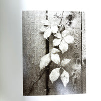 Ryuijie: Time and Place, A Collections of 35 Platinum Prints, SIGNED 1st Ed., 1998, Very Good softcover w/dust jacket.