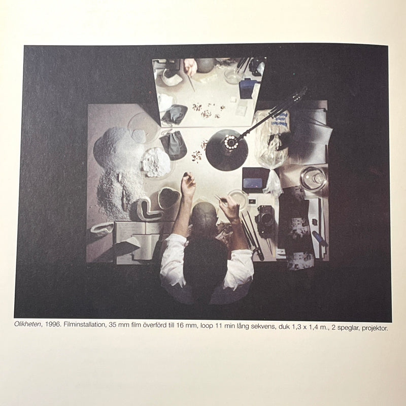 Charlotte Gyllenhammar: Fall, Goteborgs Konstmuseum 2001 exhibit catalog