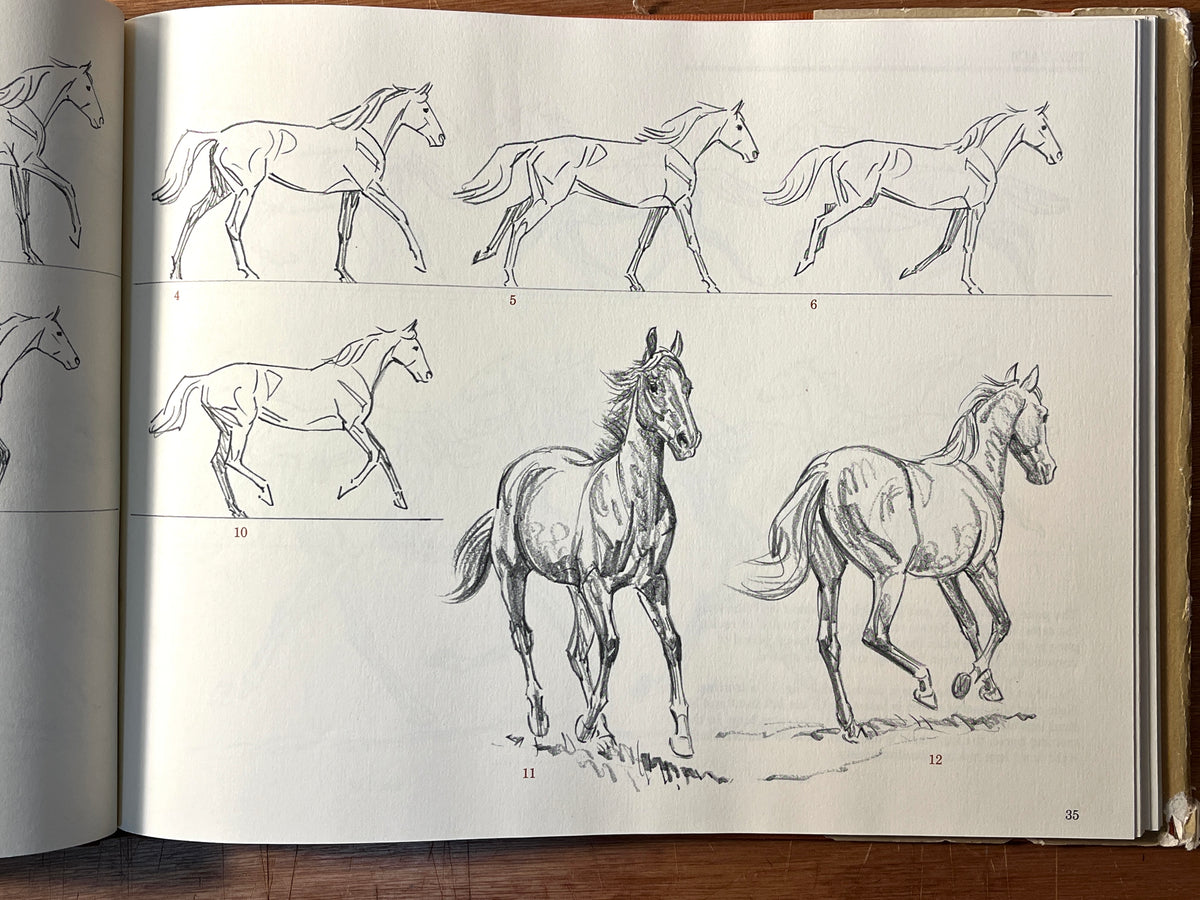 Draw Horses with Sam Savitt, The Viking Press, 1981, First Edition, HC, VG.