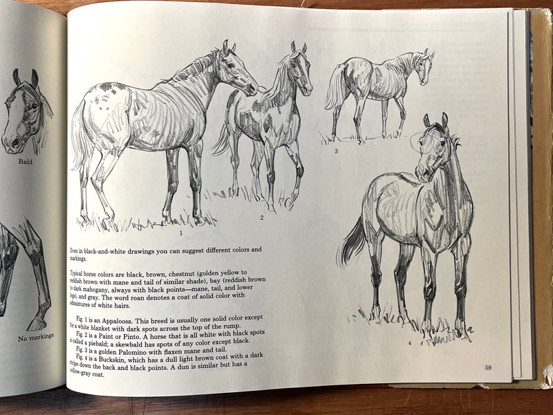 Draw Horses with Sam Savitt, The Viking Press, 1981, First Edition, HC, VG.