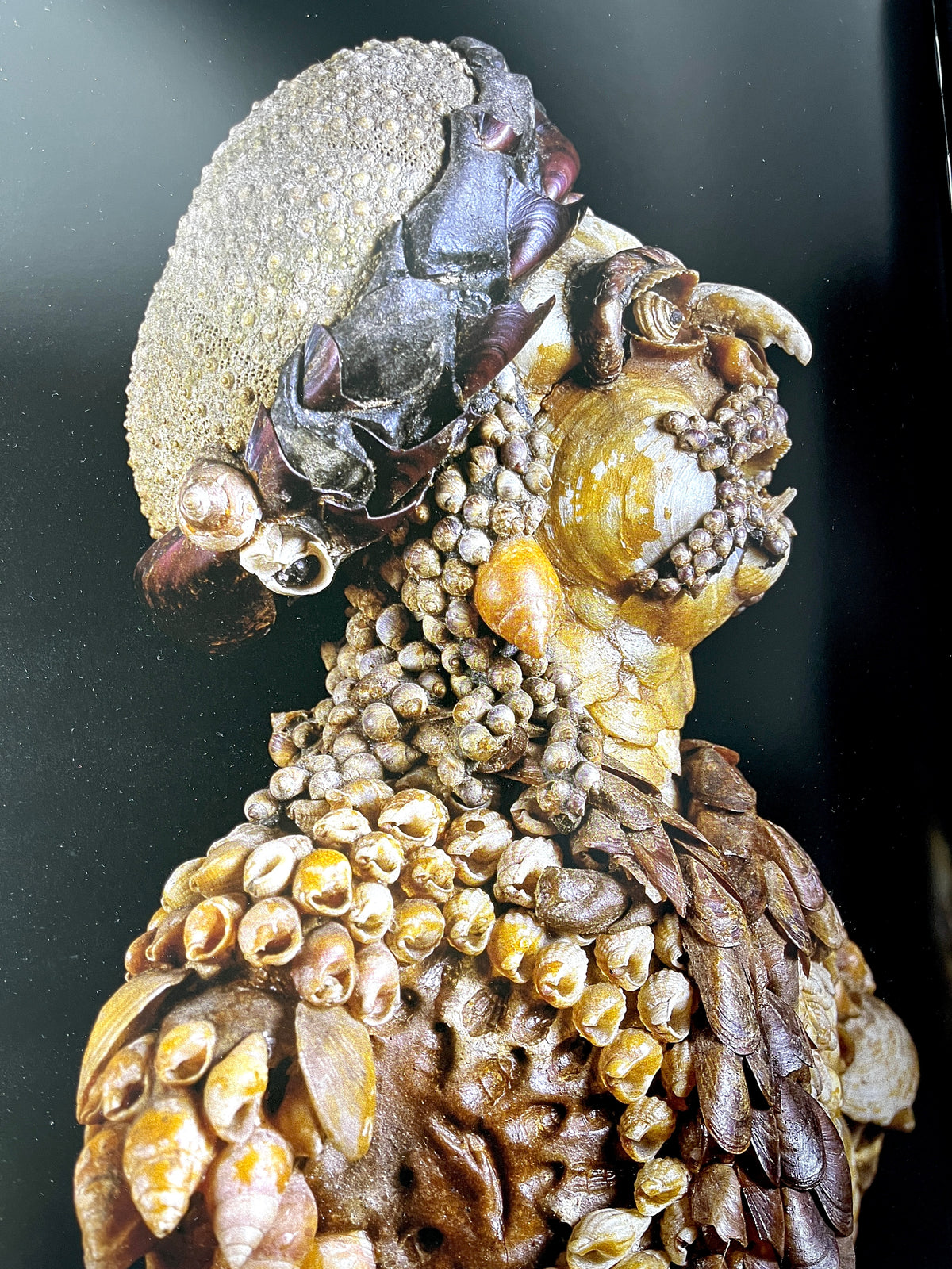 Massimo Listri, Cabinet of Curiosities, Taschen 2020, Very Good hardcover
