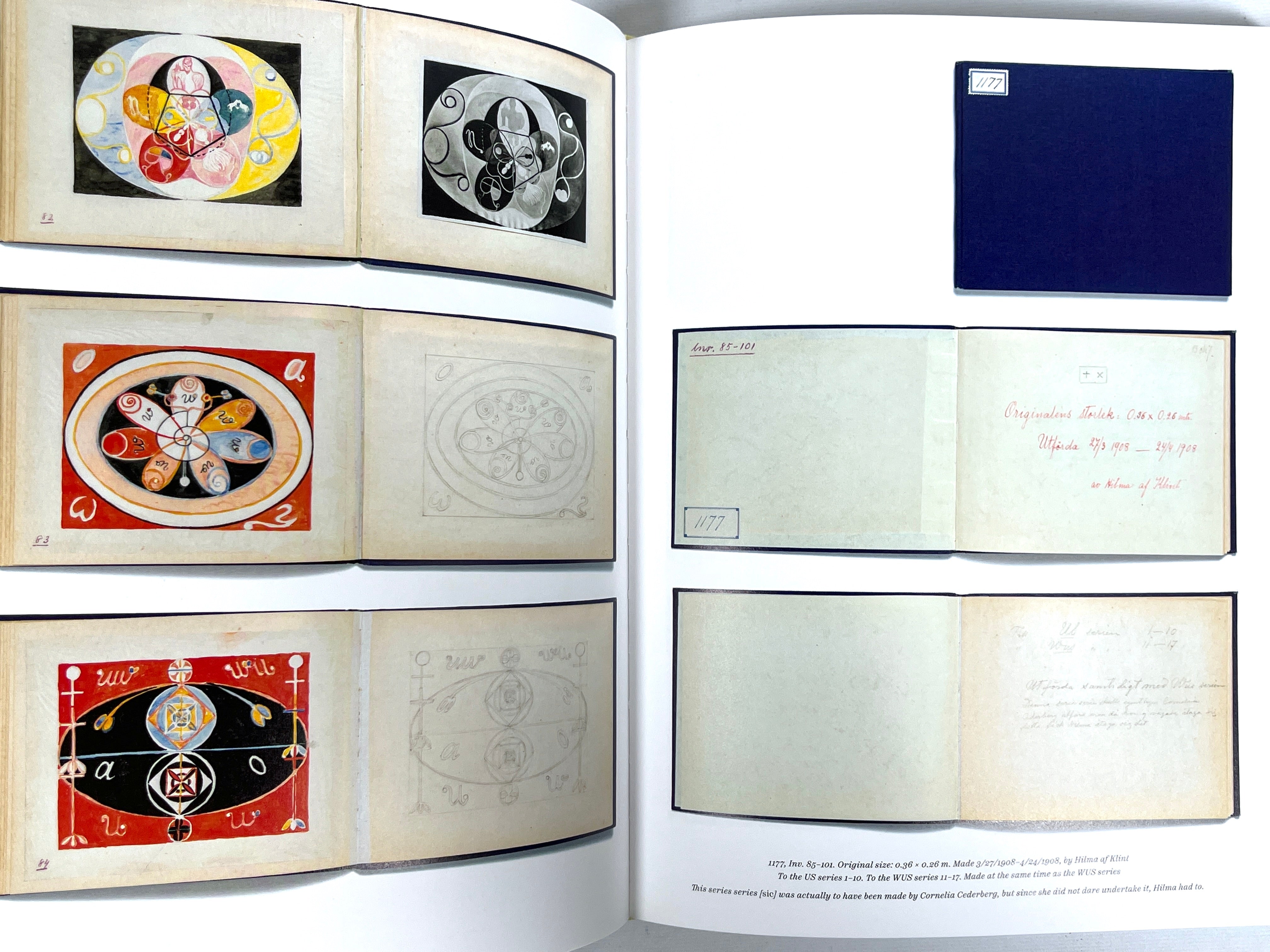 Hilma af Klint: Notes and Methods, The University of Chicago Press