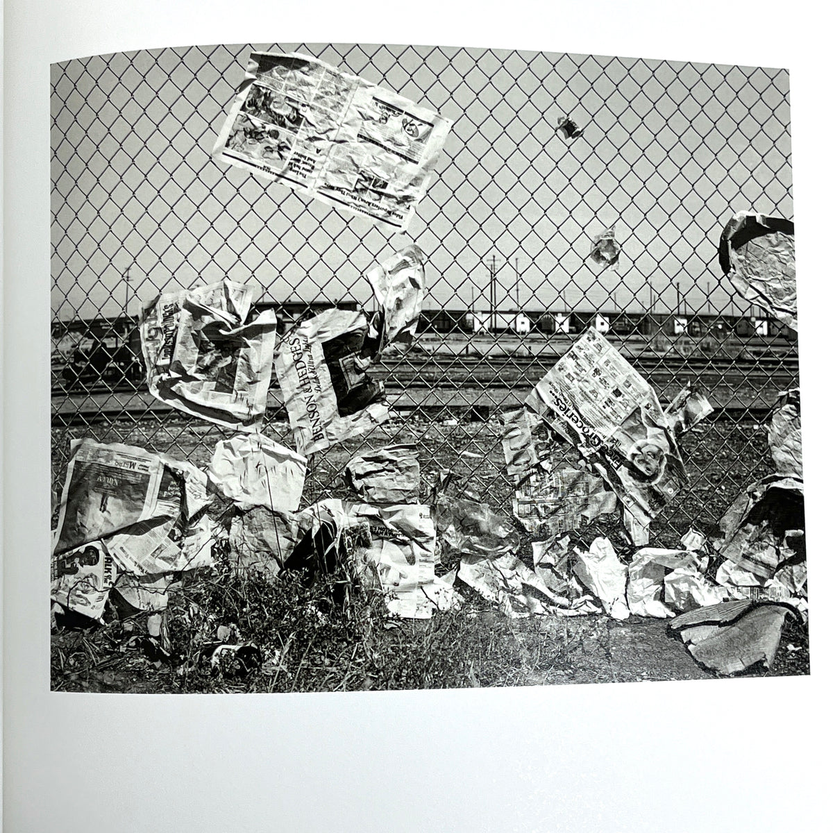 Landfall, Mimi Plumb, TBW Books, 2018, Very Good hardcover