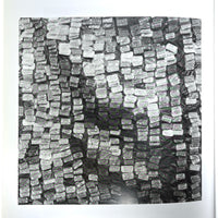 Snap Judgments: New Positions in Contemporary African Photography, 1st Ed., 2006, Near Fine HC w/DJ.