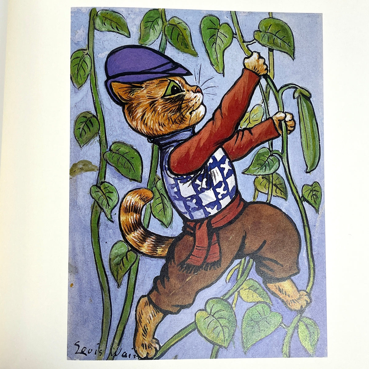 The Cats of Louis Wain, Bibliothèquede l'Image, 2000, Near Fine softcover w/dust jacket