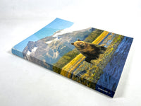A Magazine #11: Curated by Rodarte, 2011, Very Good softcover