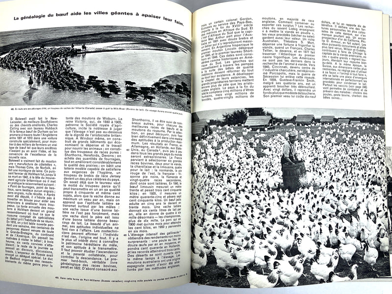 L'Homme et L'Animal: Cent mille ans de vie commune, 1962, Very Good hardcover