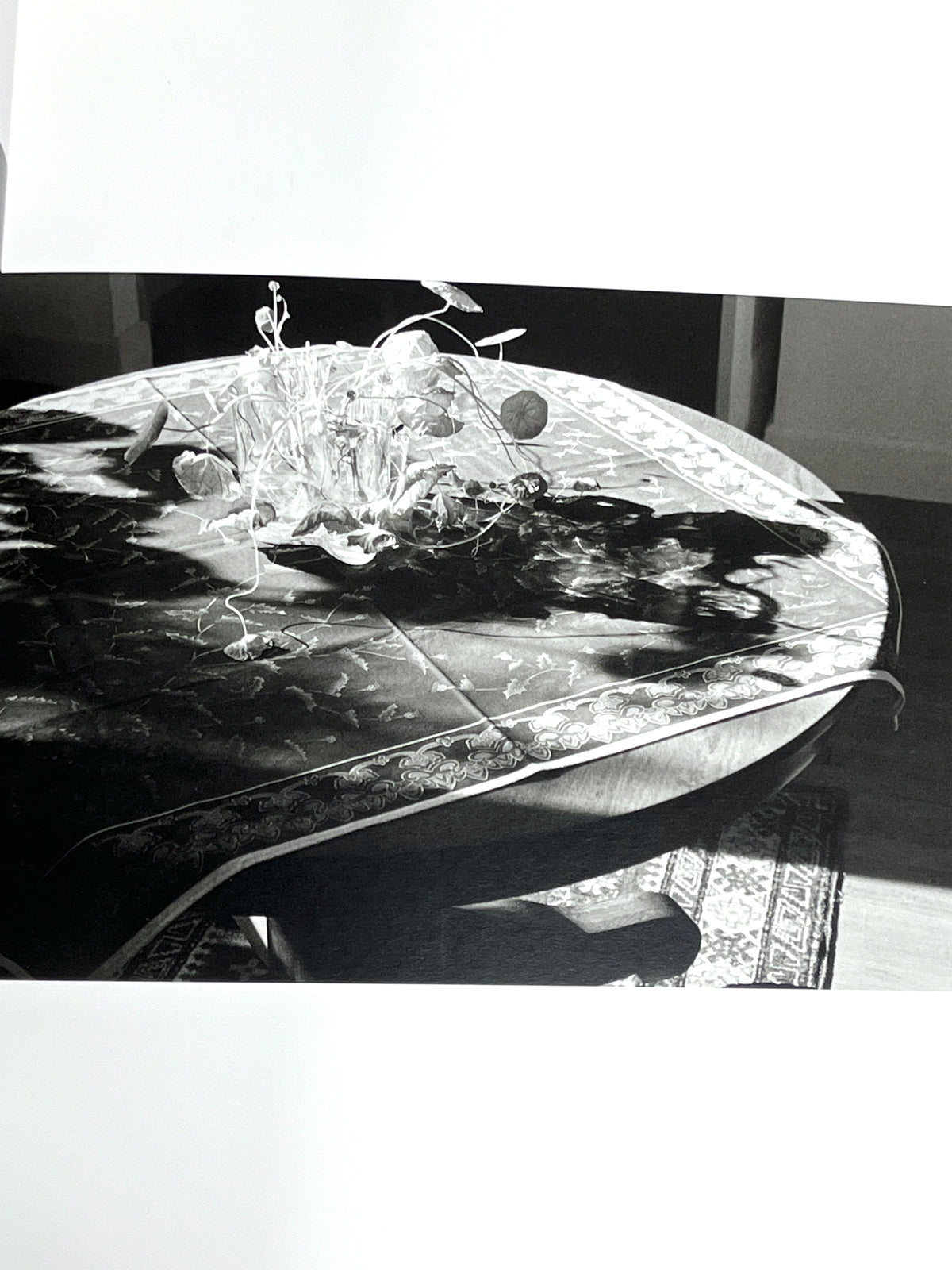 Robert Adams, Photographs from Twenty-five Years: the North-West Coast, Near Fine HC & DJ