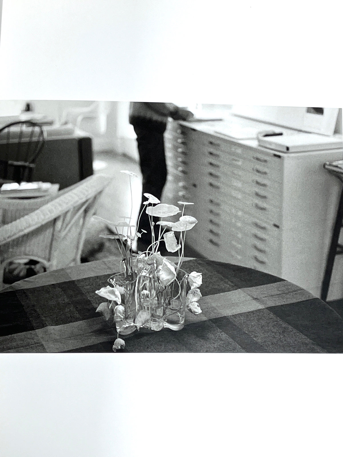 Robert Adams, Photographs from Twenty-five Years: the North-West Coast, Near Fine HC & DJ