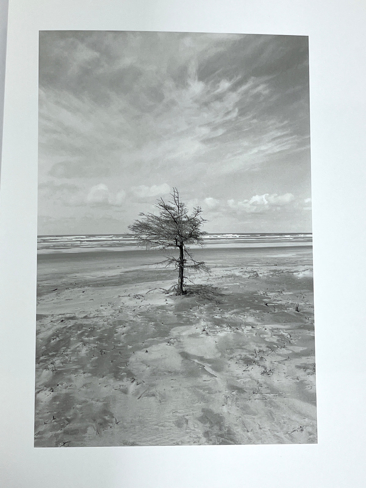 Robert Adams, Photographs from Twenty-five Years: the North-West Coast, Near Fine HC & DJ