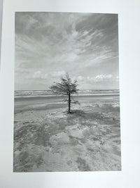 Robert Adams, Photographs from Twenty-five Years: the North-West Coast, Near Fine HC & DJ