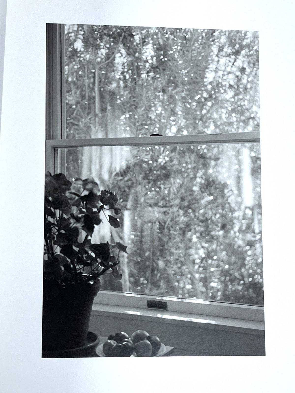Robert Adams, Photographs from Twenty-five Years: the North-West Coast, Near Fine HC & DJ