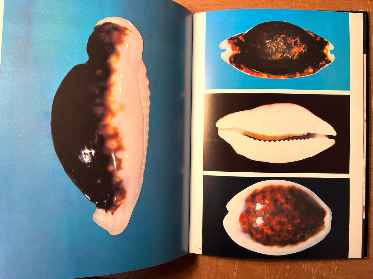 Porcelaines Mysterieuses de Nouvelle-Caledonie / Mysterious Cowries of New Caledonia, 1975, HC, VG.