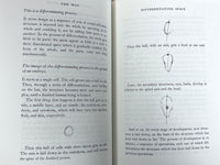 The Timeless Way of Building, Oxford University Press, Vol 1, 1st Edition, 1979, NF HC w/DJ