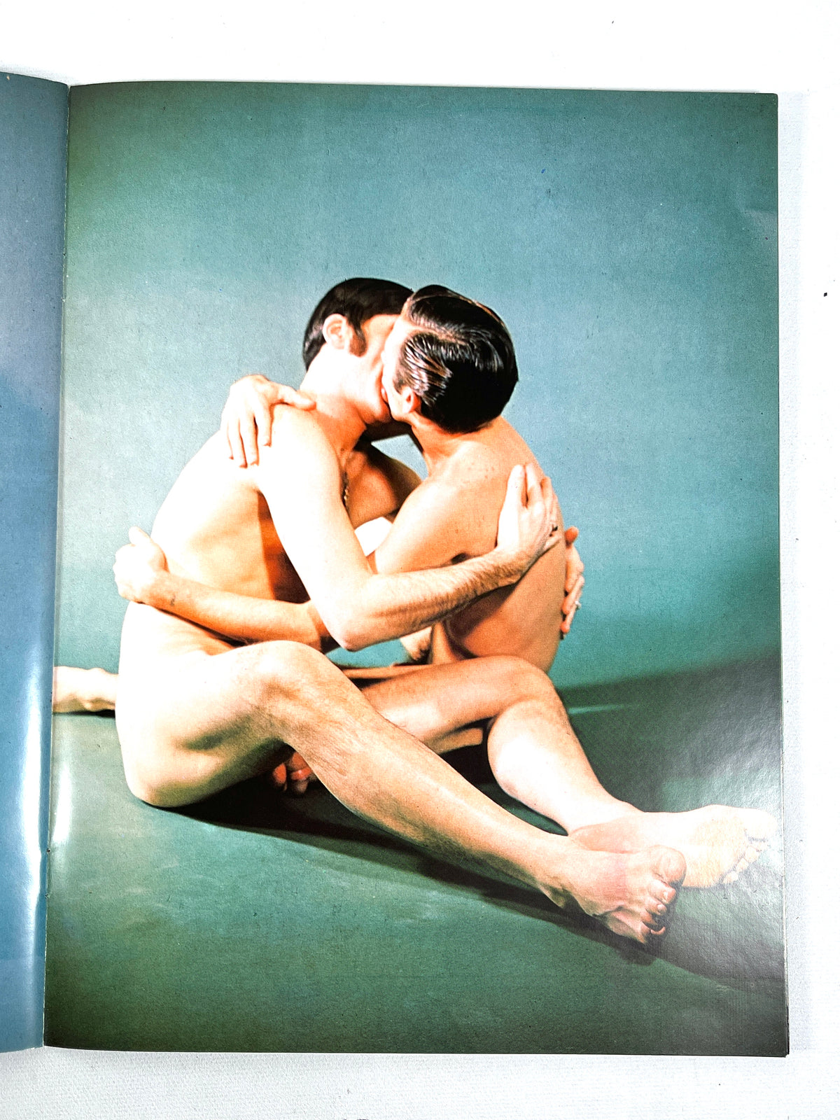 My-o-My Golden Cock Publications, 1969 gay interest, Very Good, Rare