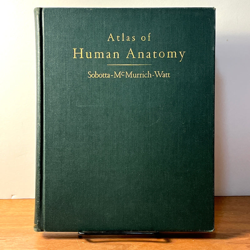 Atlas of Human Anatomy, Johannes Sobotta, G.E.Stechert & Co. 1939, HC, Good