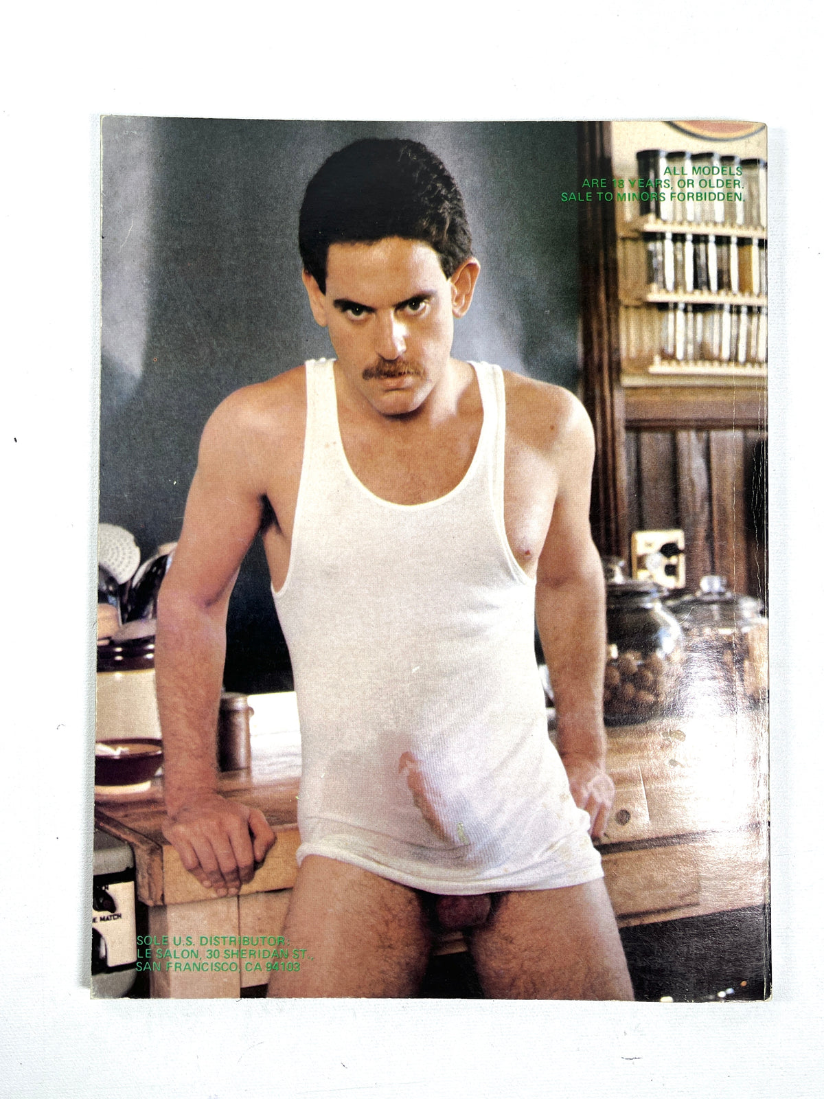 Playdudes, Le Salon Graphics, 1980, Very Good softcover, gay interest