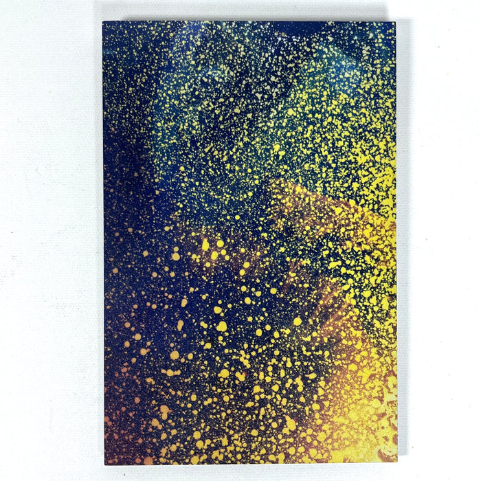 Mariah Robertson Limited Ed. UV Print on Dibond Aluminum, 2024, #2/10