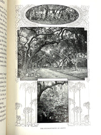 Hildegarde Hawthorne, The Lure of the Garden, 1911, Very Good- hardcover