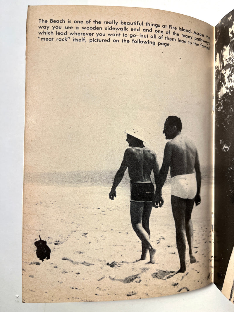 Alexander Goodman,  [George Haimsohn] A Summer on Fire island, Guild Press, 1966, 18+