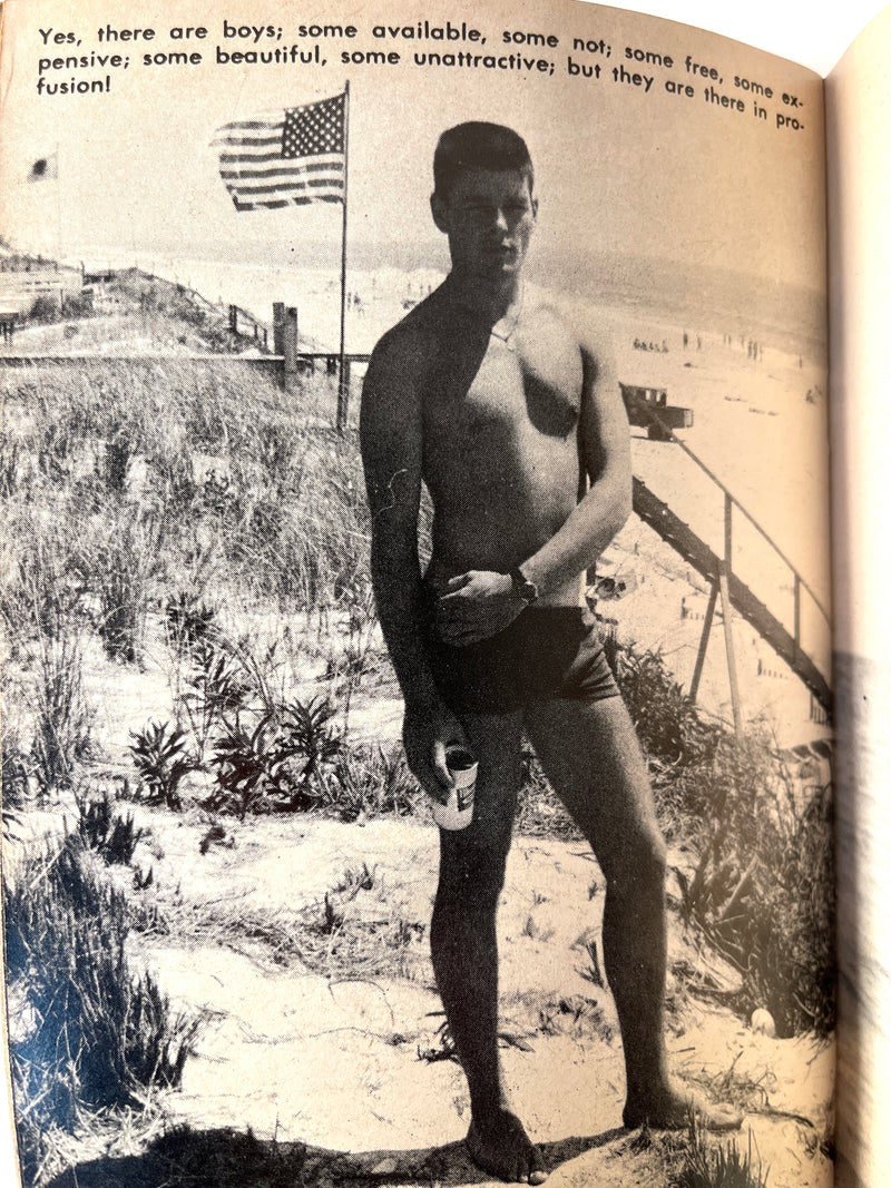 Alexander Goodman,  [George Haimsohn] A Summer on Fire island, Guild Press, 1966, 18+