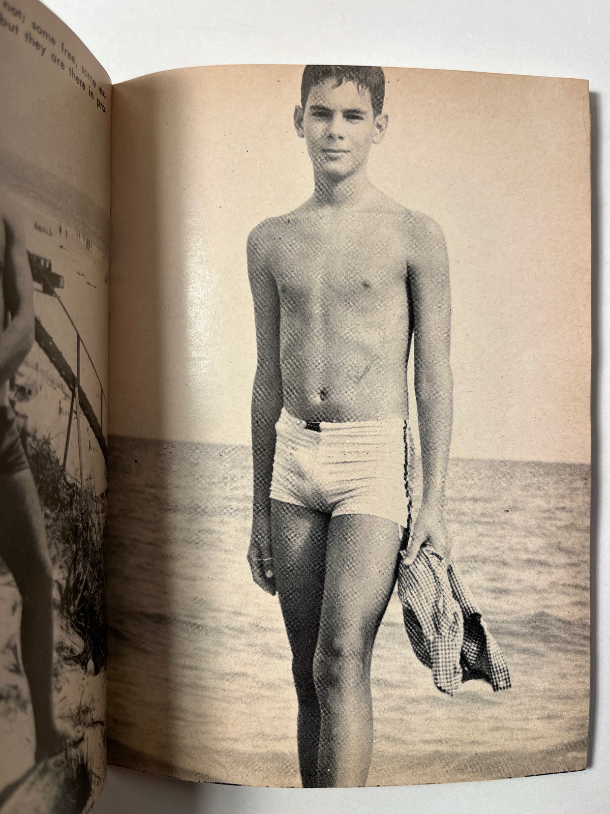 Alexander Goodman,  [George Haimsohn] A Summer on Fire island, Guild Press, 1966, 18+