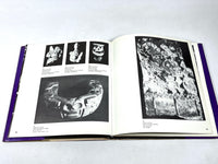 La Muerte: Expresiones Mexicanas de un Enigma, 1975, Very Good hardcover w/DJ