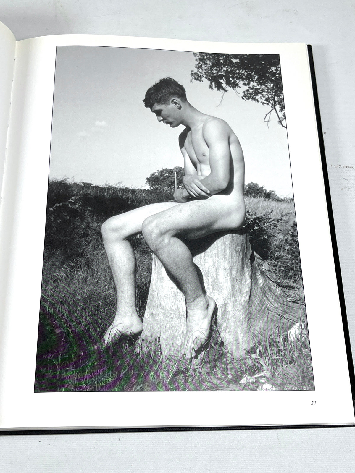 The Naked Heartland: The Itinerant Photography of Bruce of Los Angeles, 2001, VG+ HC DJ