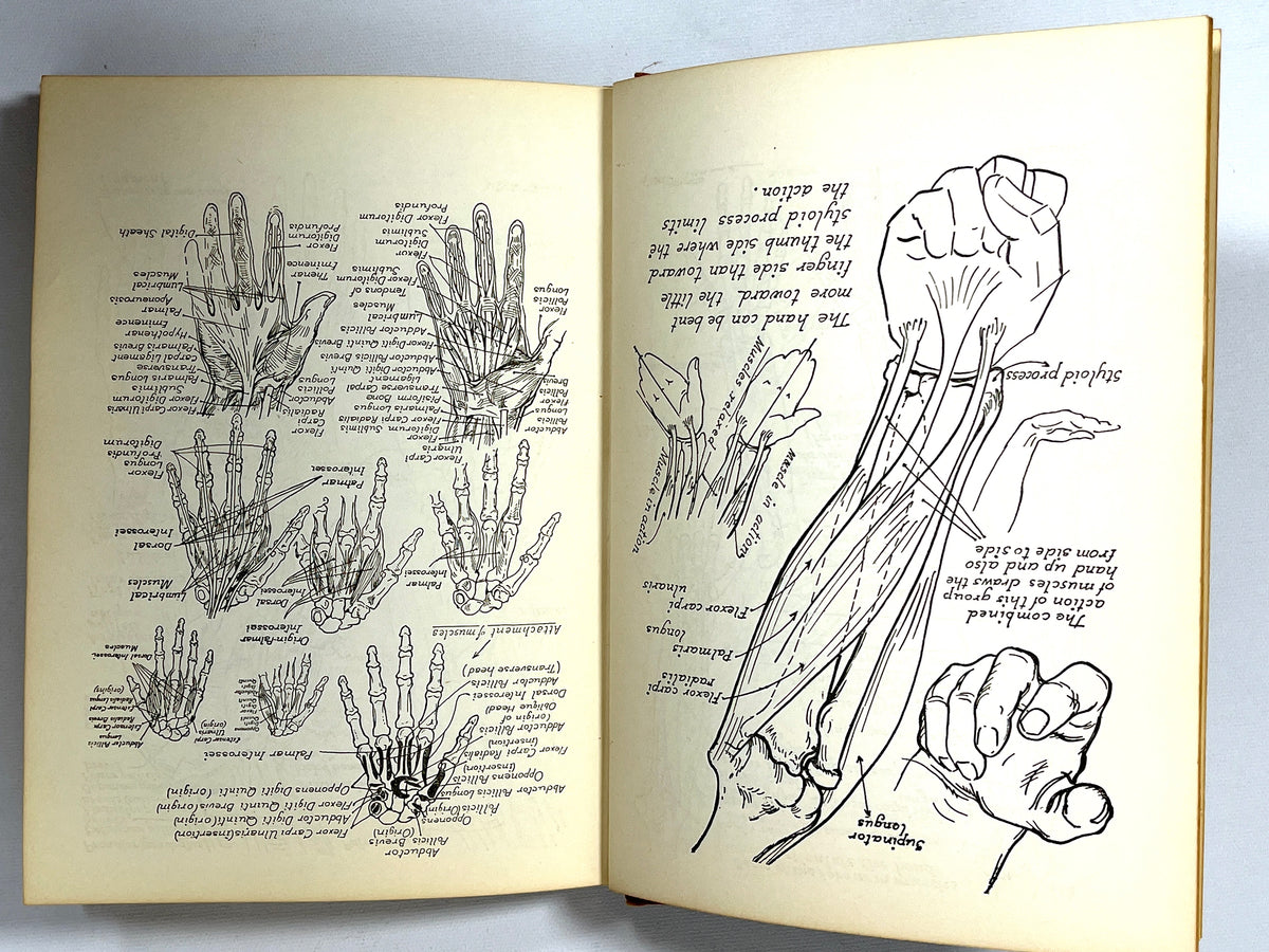 Hands and Their Construction, Victor Perard, 1940, Good + HC