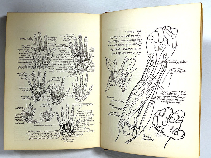 Hands and Their Construction, Victor Perard, 1940, Good + HC