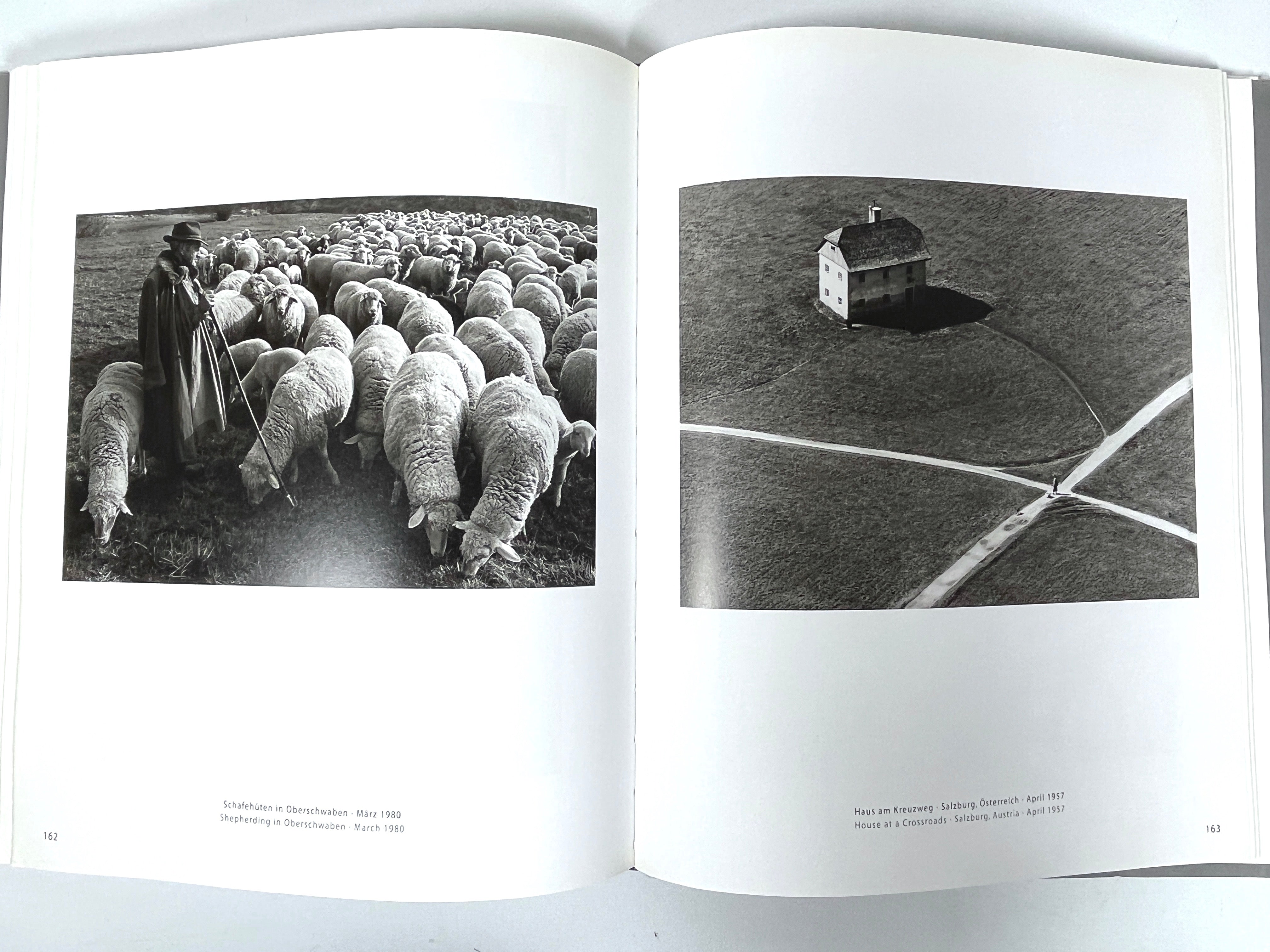 Toni Schneiders: Photography, exhibit catalog, 2003, Near