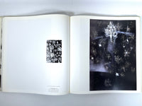 Ross Bleckner, Guggenheim Museum, 1995, Near Fine HC, Very Good + DJ