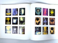 Ross Bleckner, Guggenheim Museum, 1995, Near Fine HC, Very Good + DJ