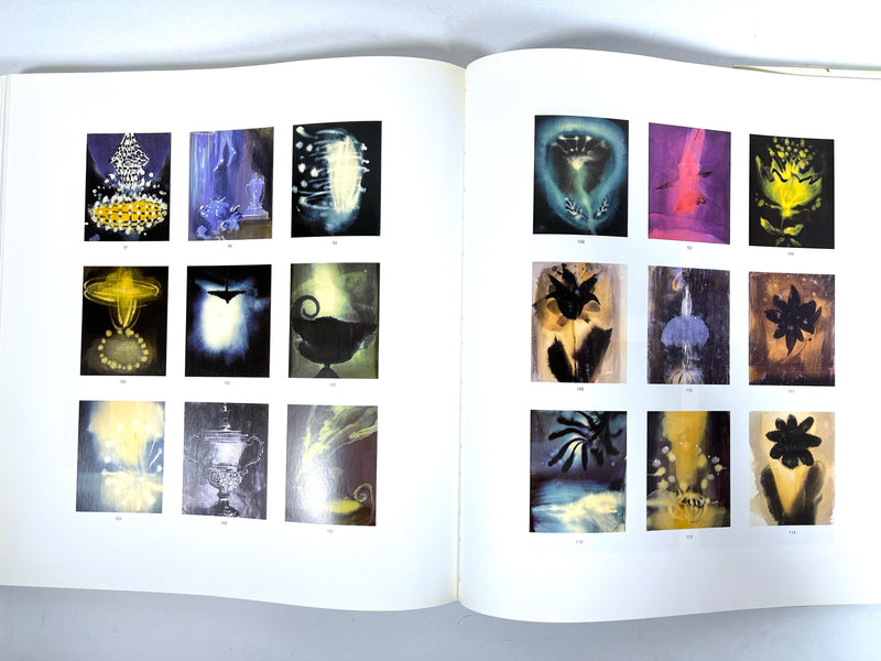 Ross Bleckner, Guggenheim Museum, 1995, Near Fine HC, Very Good + DJ