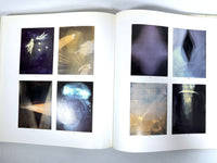 Ross Bleckner, Guggenheim Museum, 1995, Near Fine HC, Very Good + DJ