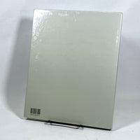 Richard Peter Schmid: In Malerei Ausbrechen, 2009, New in Shrink-wrap.