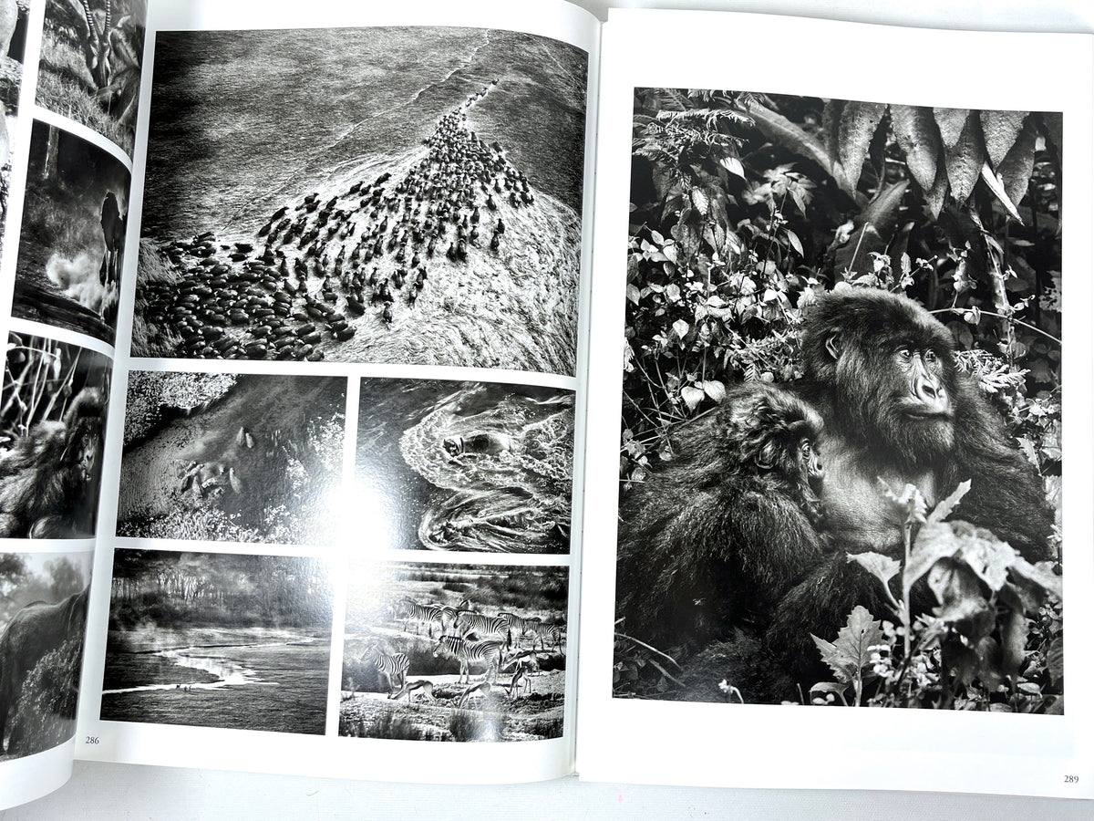 Genesis: Sebastião Salgado, Taschen, 2013, Near Fine hardcover w/dust jacket