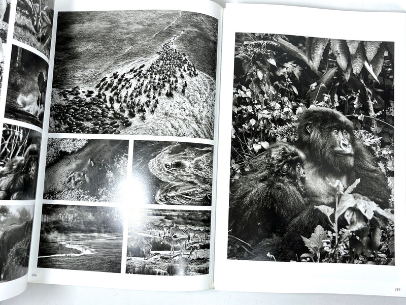 Genesis: Sebastião Salgado, Taschen, 2013, Near Fine hardcover w/dust jacket