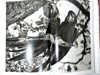 Genesis: Sebastião Salgado, Taschen, 2013, Near Fine hardcover w/dust jacket