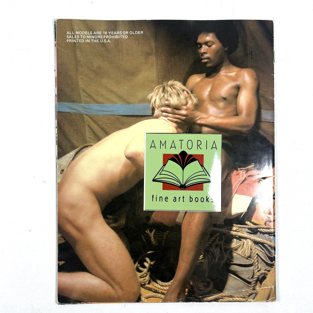 Midway Men, Roger Earl, 1983, Very Good staplebound, gay interest