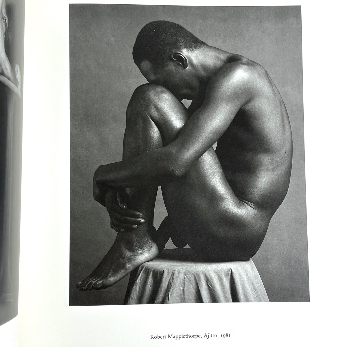 The Hidden Image, Peter Weiermair, The MIT Press, 1988, Near Fine hardcover w/dust jacket