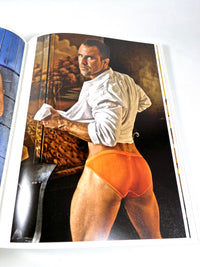 Mark Henderson, Household Idols, Bruno Gmunder, 2008, Near Fine hardcover, gay interest