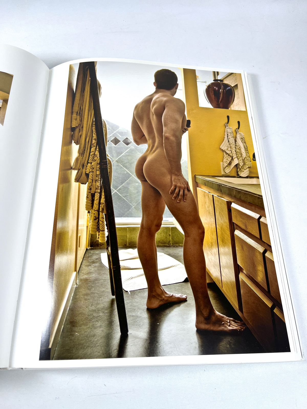 Mark Henderson, Household Idols, Bruno Gmunder, 2008, Near Fine hardcover, gay interest