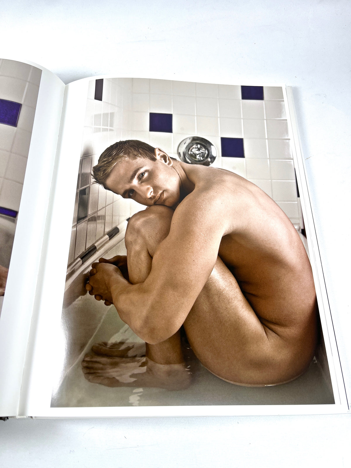 Mark Henderson, Household Idols, Bruno Gmunder, 2008, Near Fine hardcover, gay interest