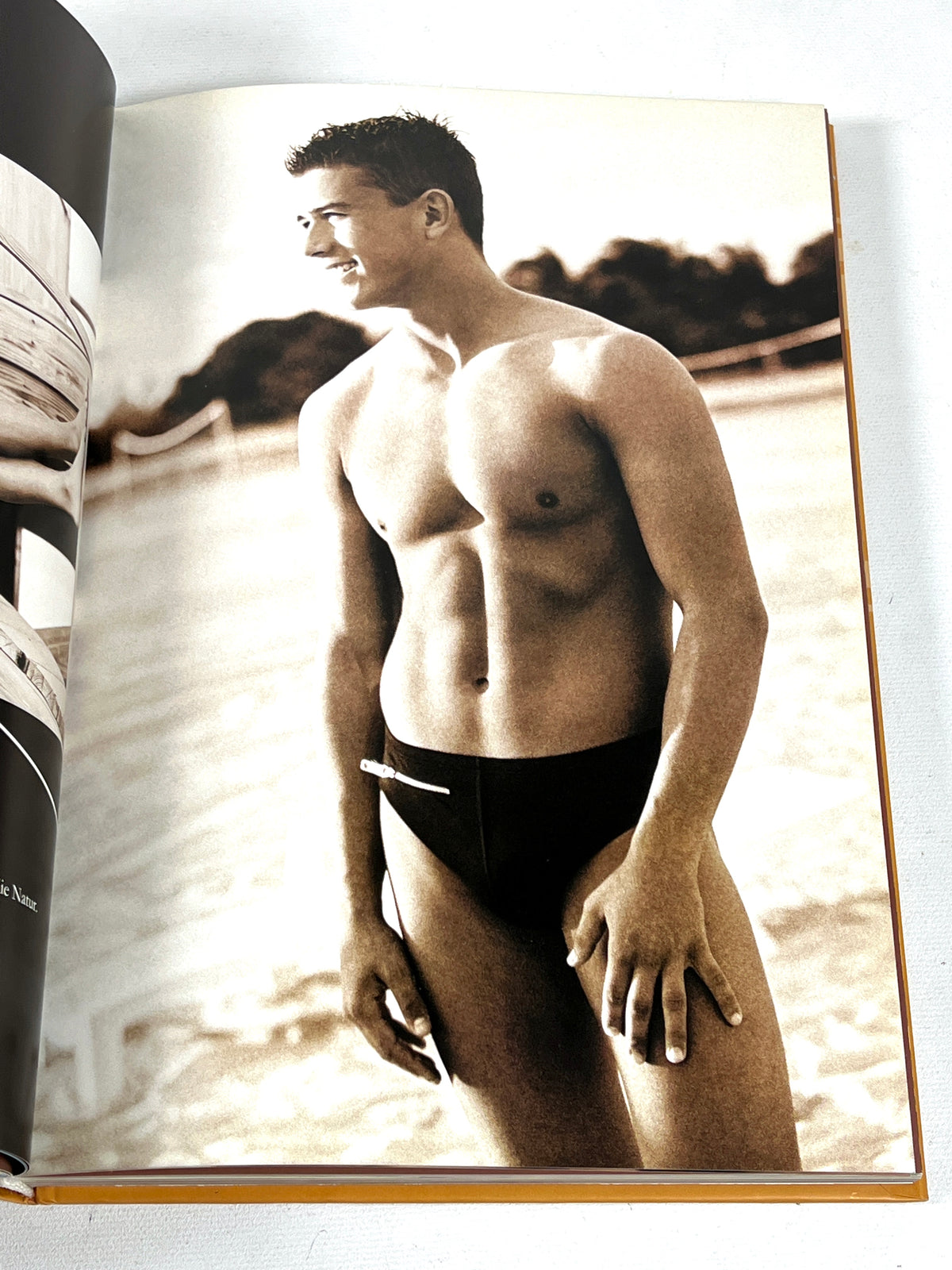 Thorsten Horvath, Male Perceptions, 2004, Near Fine hardcover, gay interest