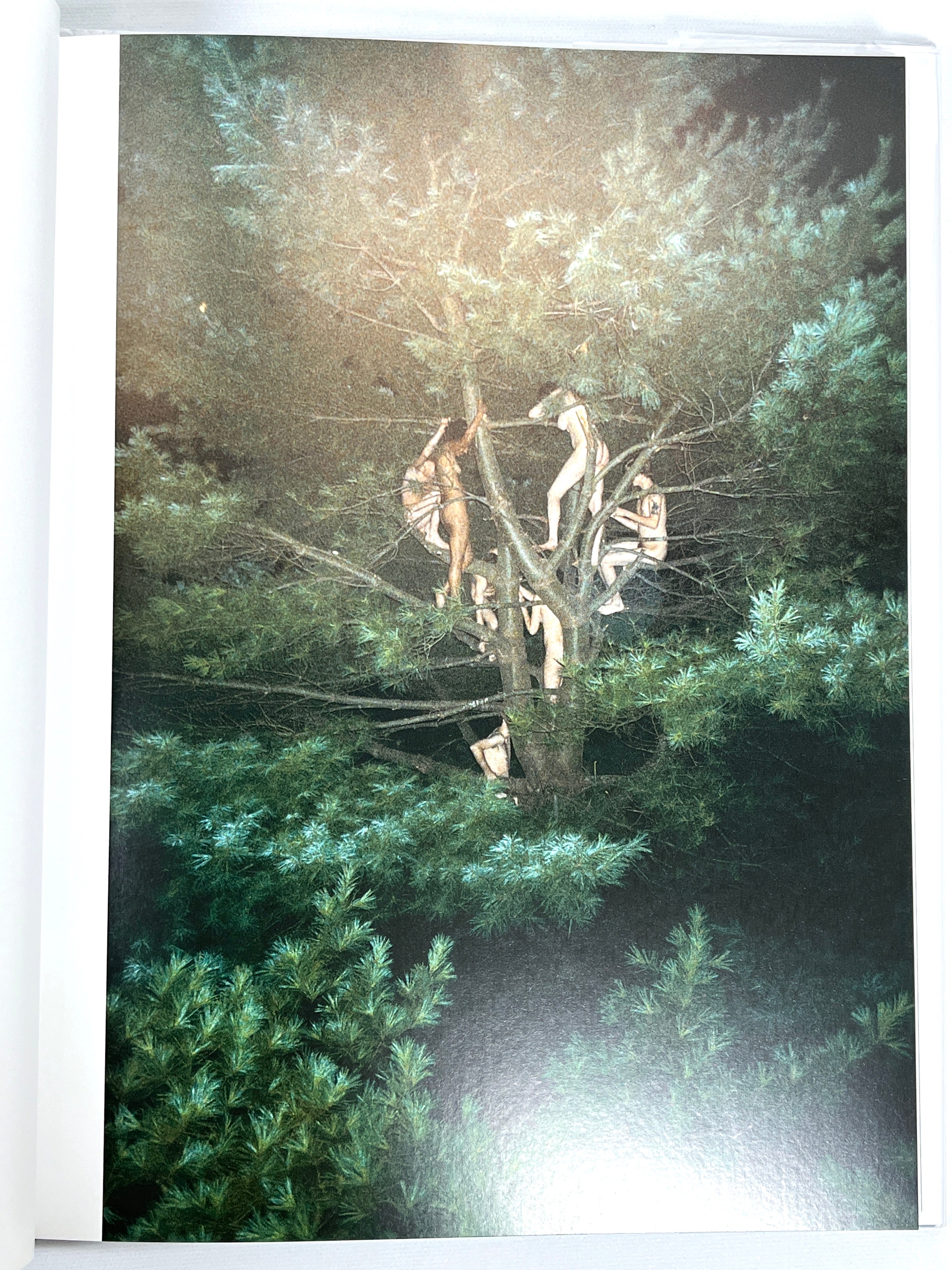 Ryan McGinley: You and I, Twin Palms Publishers, 2011, Near Fine