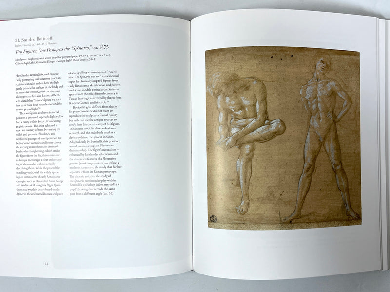 Botticelli Drawings, Furio Rinaldi, Early Renaissance, Legion of Honor, 2024, NF HC & DJ