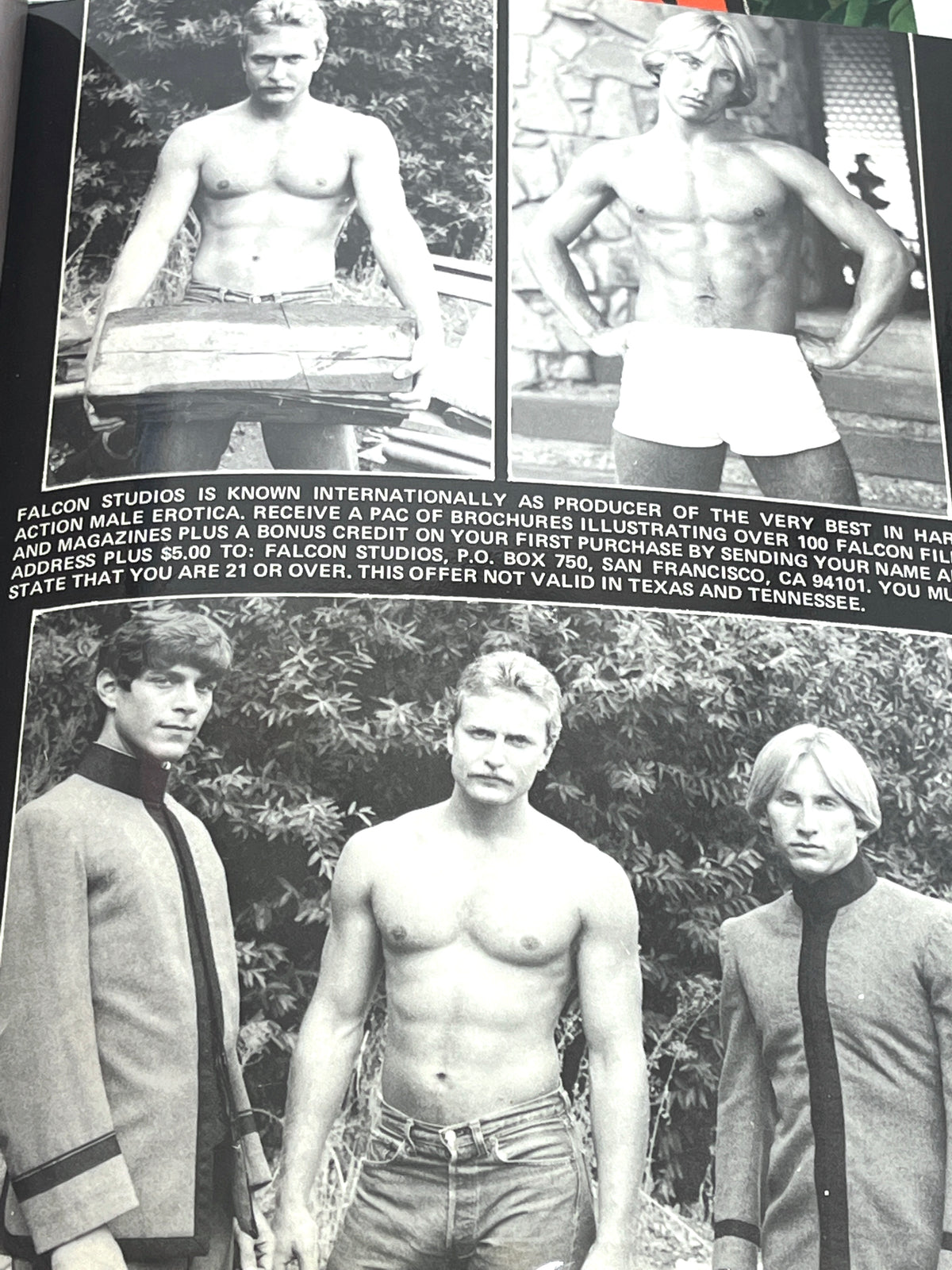 Falcon Studios Magazines, 1978-2002, Lot of 5, Very Good SCs, Gay interest