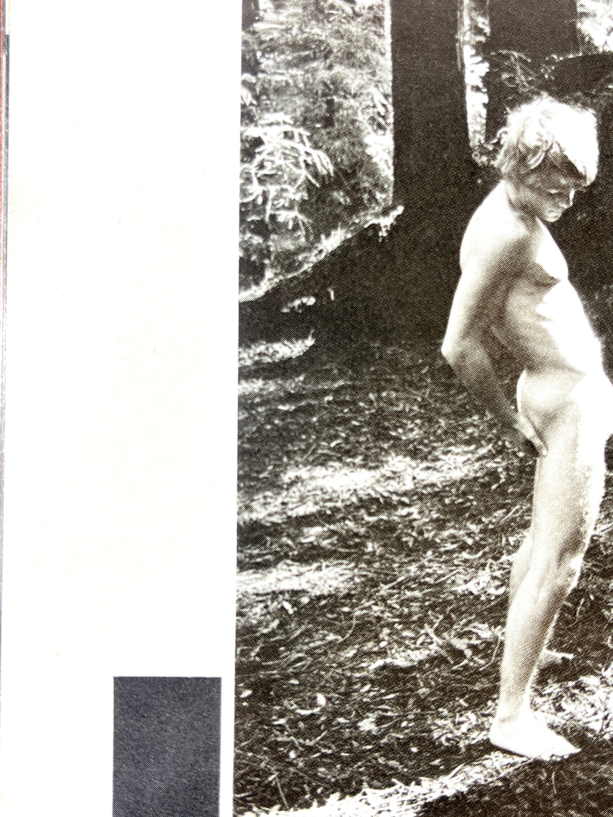 Falcon Studios Magazines, 1977-1982, Lot of 7, Very Good SCs, RARE Gay interest